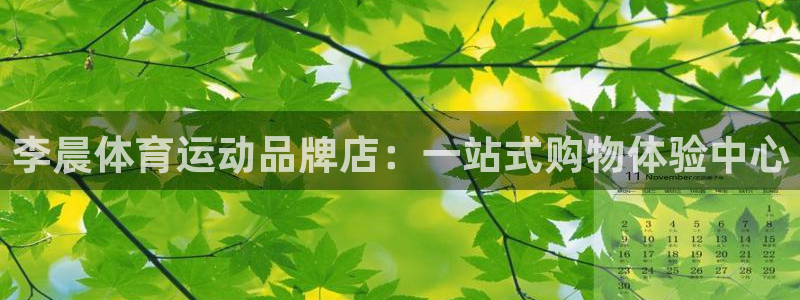 李晨体育运动品牌店：一站式购物体验中心