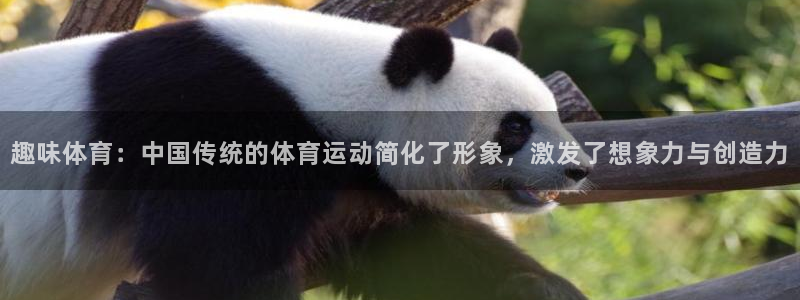 趣味体育：中国传统的体育运动简化了形象，激发了想象力与创造力