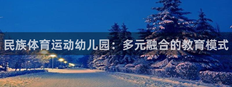 民族体育运动幼儿园：多元融合的教育模式
