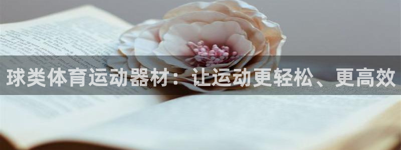 球类体育运动器材：让运动更轻松、更高效