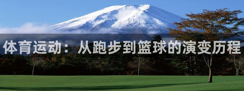 体育运动：从跑步到篮球的演变历程