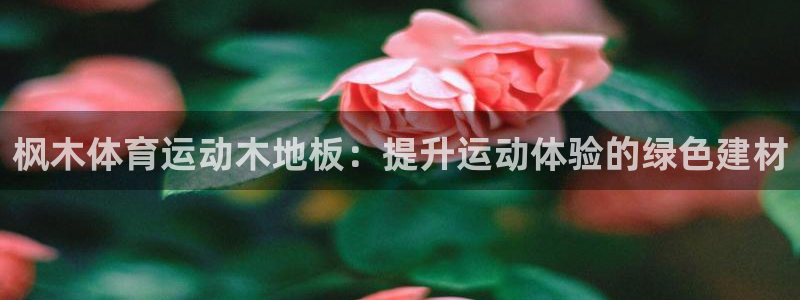 枫木体育运动木地板：提升运动体验的绿色建材