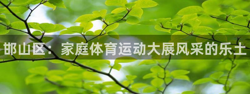 邯山区：家庭体育运动大展风采的乐土