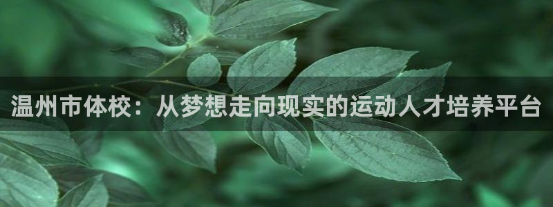 温州市体校：从梦想走向现实的运动人才培养平台