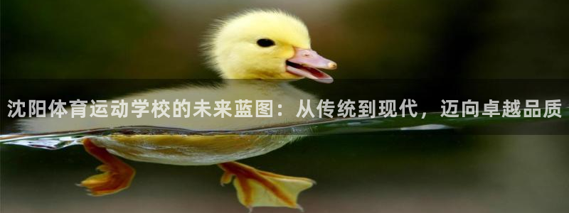 沈阳体育运动学校的未来蓝图：从传统到现代，迈向卓越品质