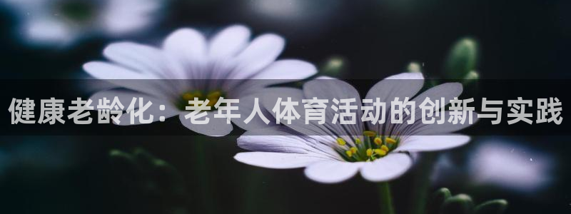 健康老龄化：老年人体育活动的创新与实践