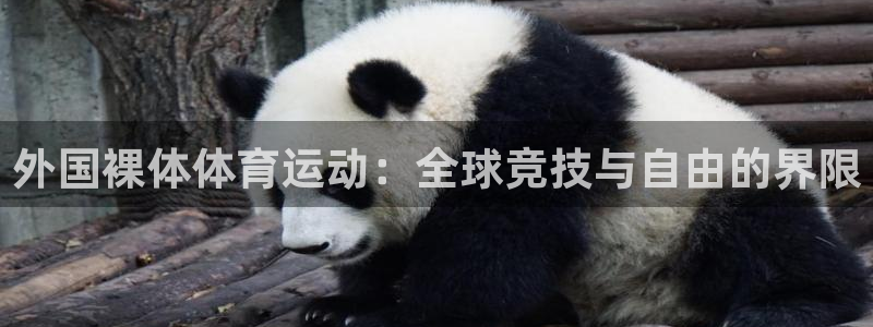 外国裸体体育运动：全球竞技与自由的界限