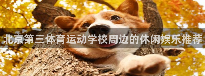 北京第三体育运动学校周边的休闲娱乐推荐
