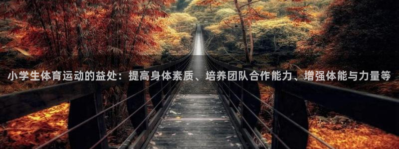 小学生体育运动的益处：提高身体素质、培养团队合作能力、增强体能与力量等
