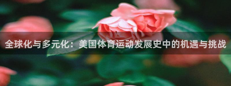 全球化与多元化：美国体育运动发展史中的机遇与挑战