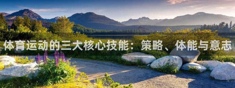 体育运动的三大核心技能：策略、体能与意志