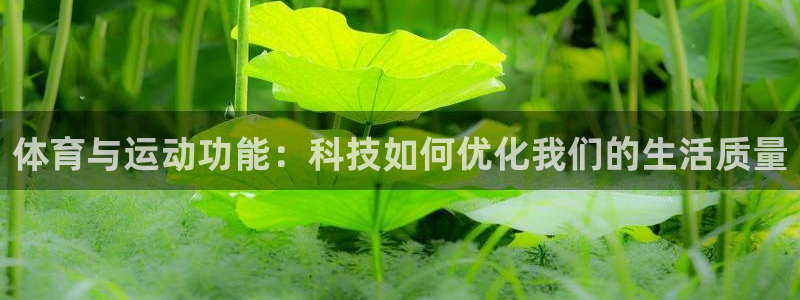 体育与运动功能：科技如何优化我们的生活质量