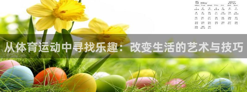 从体育运动中寻找乐趣：改变生活的艺术与技巧