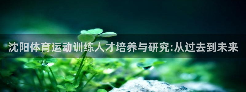 沈阳体育运动训练人才培养与研究:从过去到未来