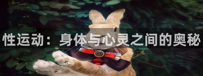 性运动：身体与心灵之间的奥秘